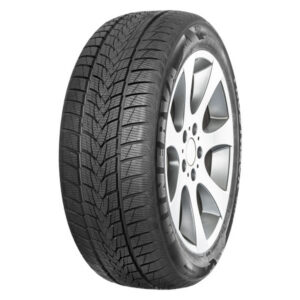 MT801 Minerva 225/40R18 Frostrack UHP