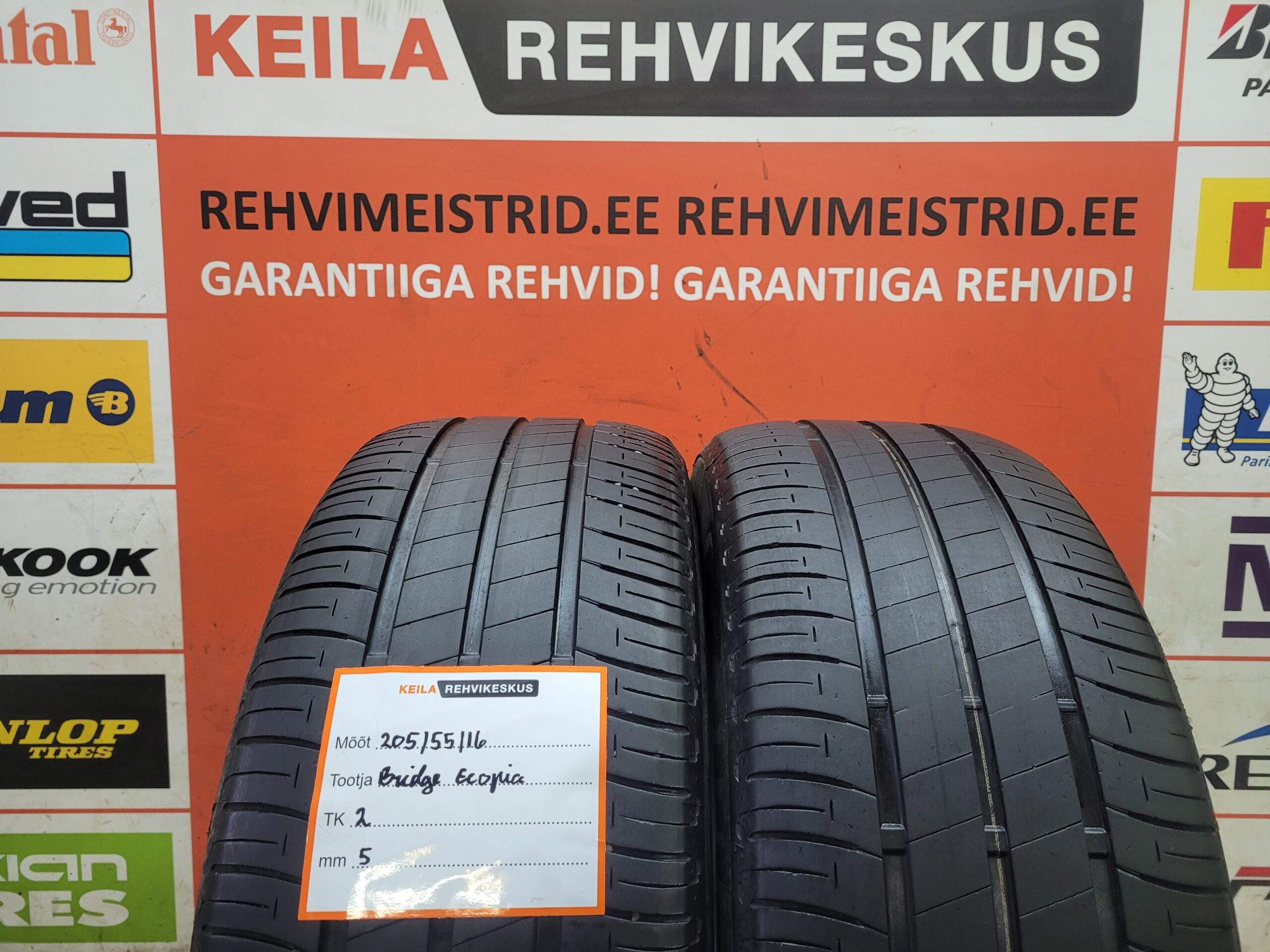 #2055516 Bridgestone Ecopia